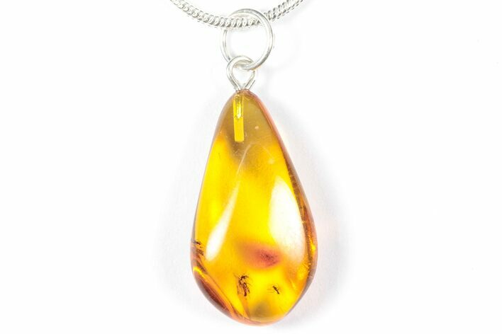 Polished Baltic Amber Pendant (Necklace) - Contains Flies! #358005
